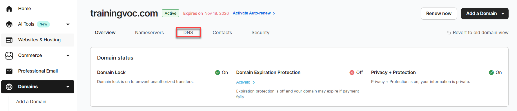 DNS tab