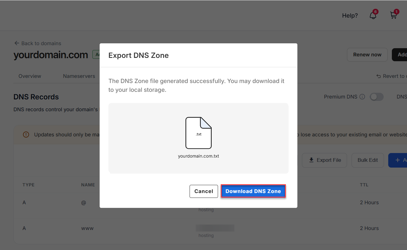 Click Download DNS Zone