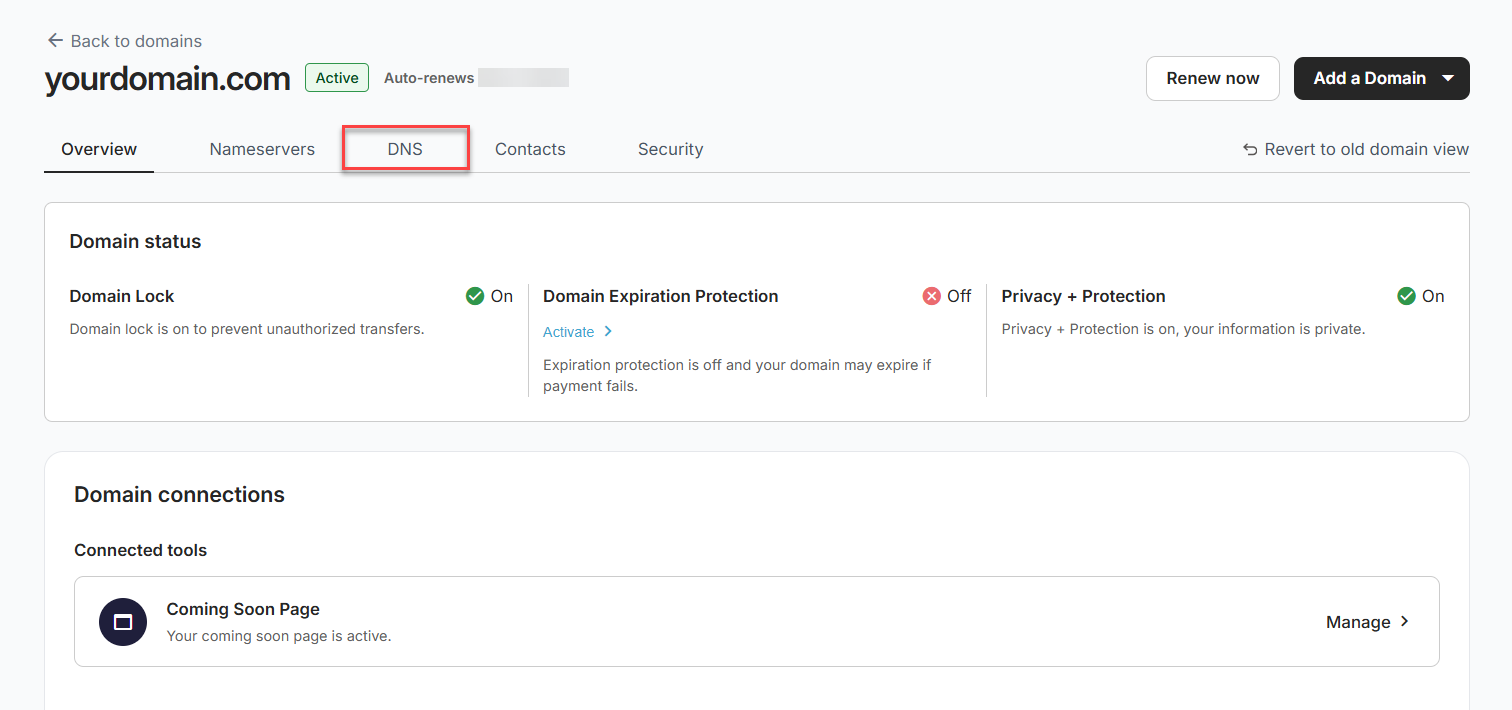 Click the DNS tab inside the domain management page