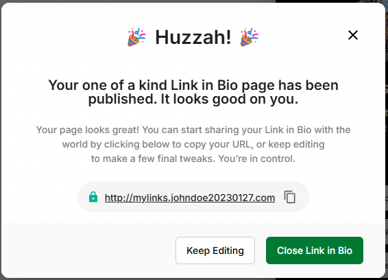 Sucessful Publishing of Link in Bio